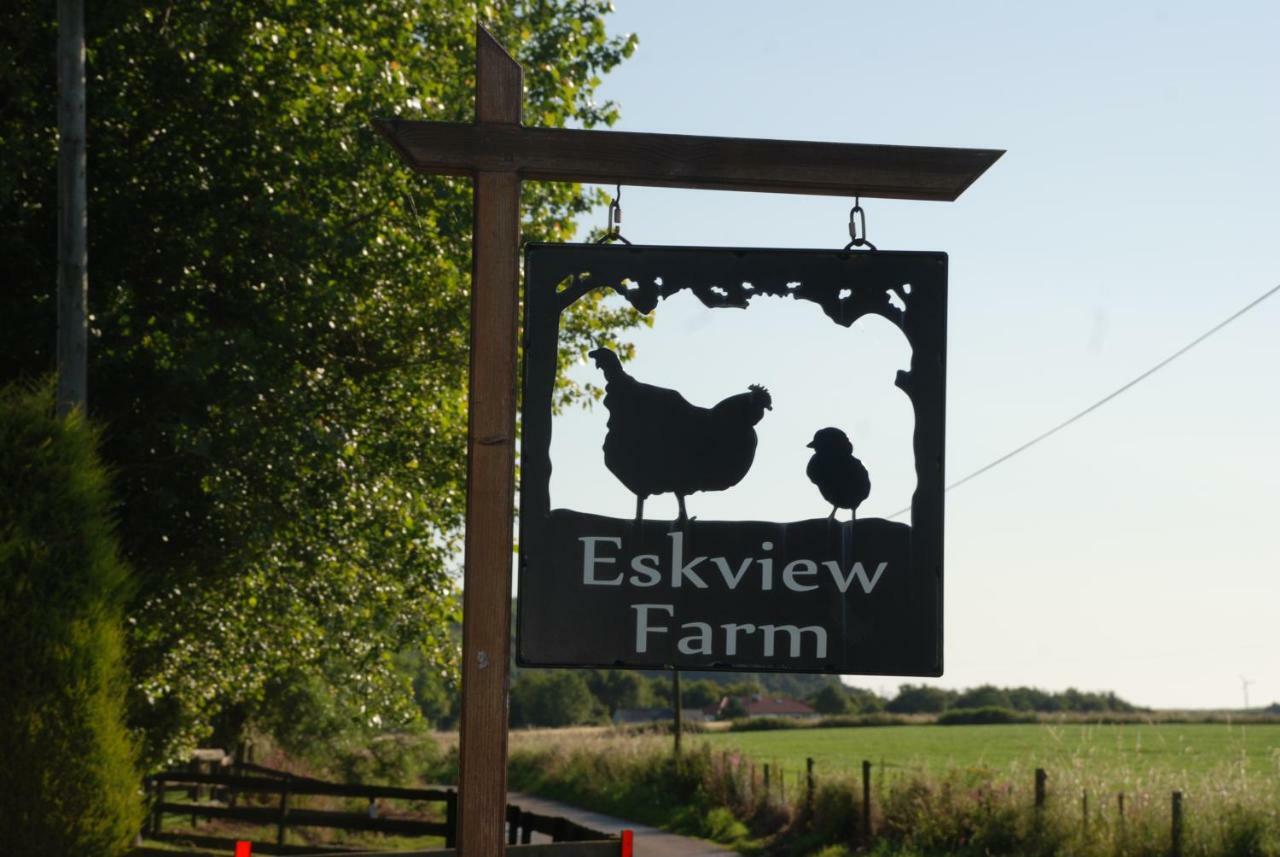 Bed and Breakfast Eskview Farm Montrose Exterior foto